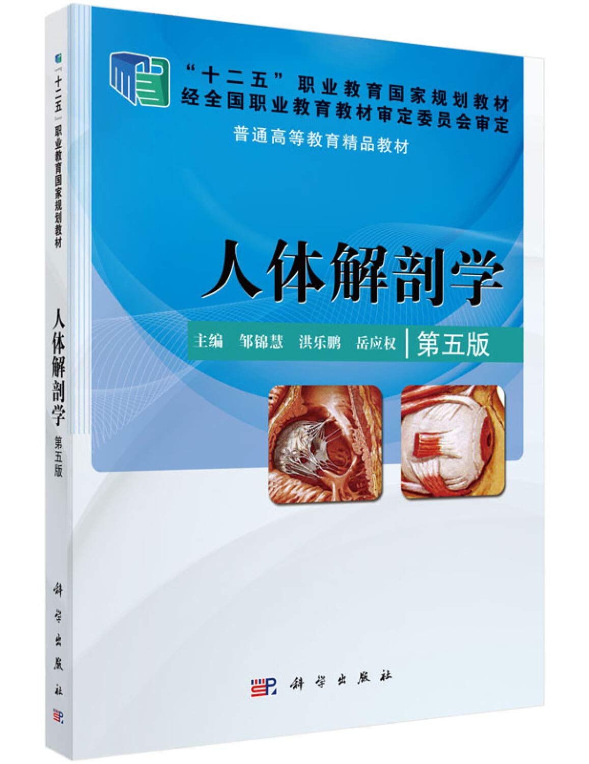 人体解剖学 人体解剖学